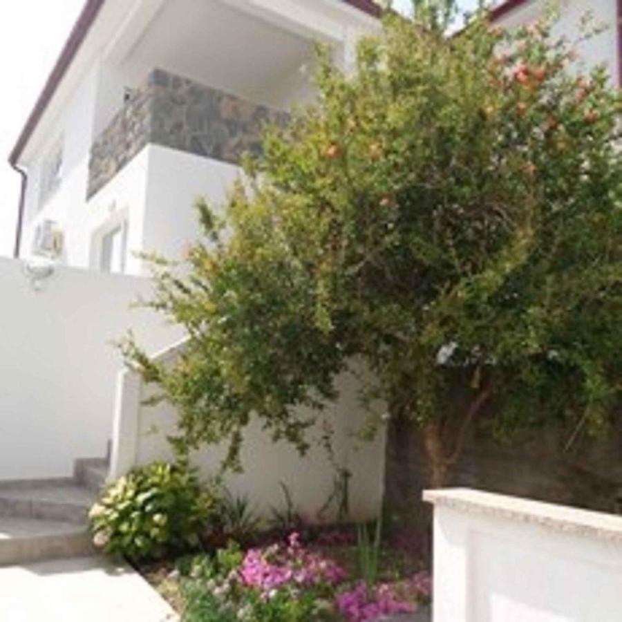 Apartments In Lopar - Insel Rab 40853 Eksteriør bilde